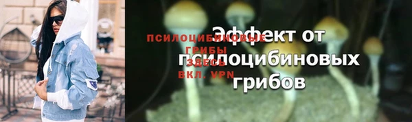 ECSTASY Алзамай