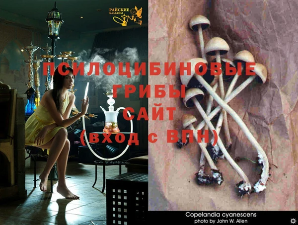 первитин Абаза